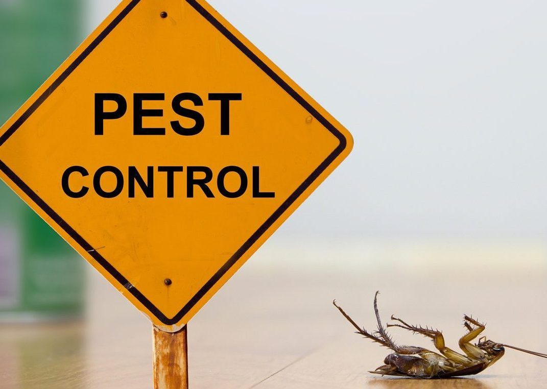 pest control