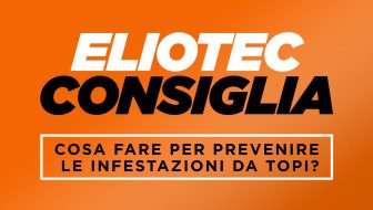 cosa fare per prevenire le infestazioni da topi