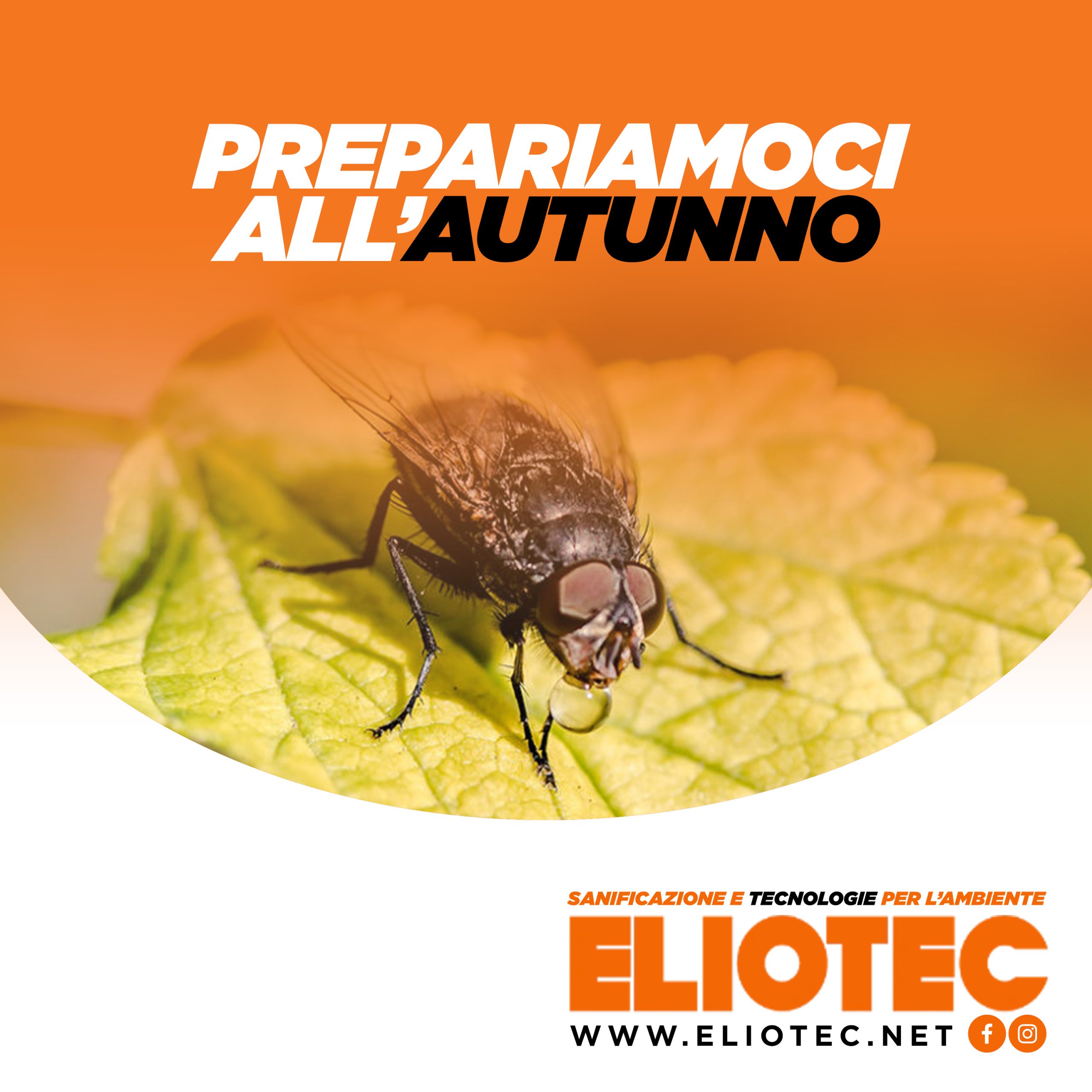 preparazione autunno